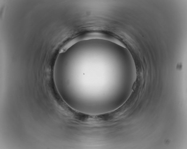 X0000092260556200709141211