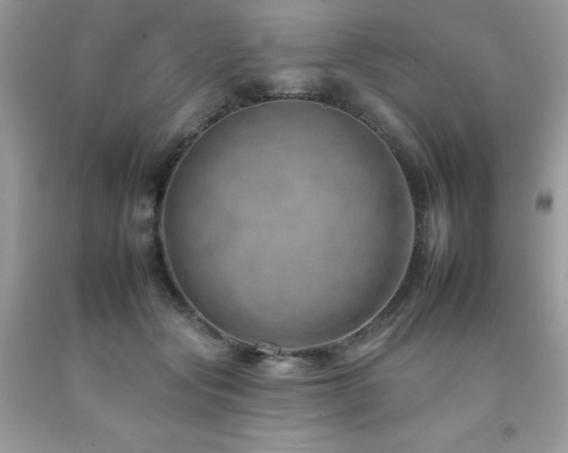 X0000092260557200709141211