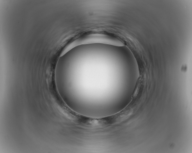X0000092260558200709141211