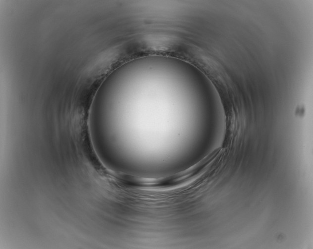 X0000092260559200709141211
