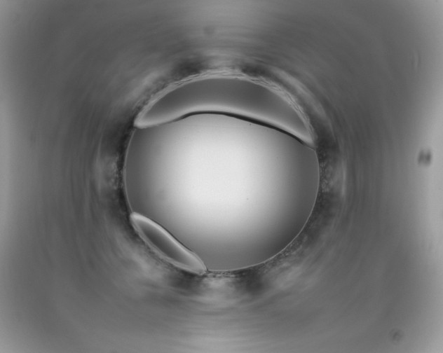 X0000092260560200709141211