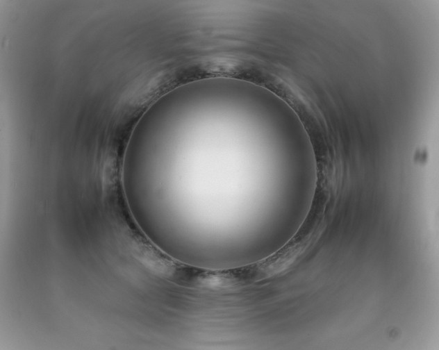 X0000092260561200709141211