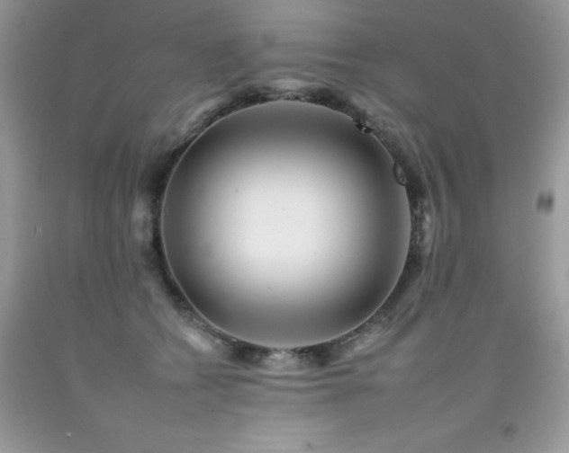 X0000092260562200709141211