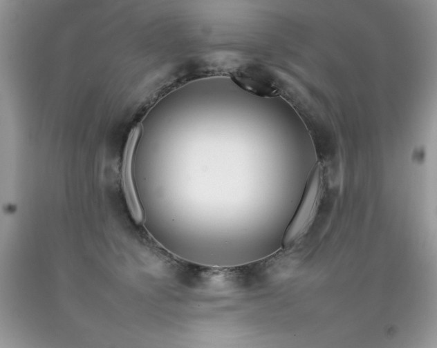 X0000092260564200709141211