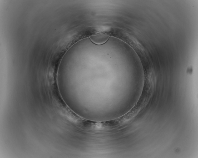 X0000092260565200709141211