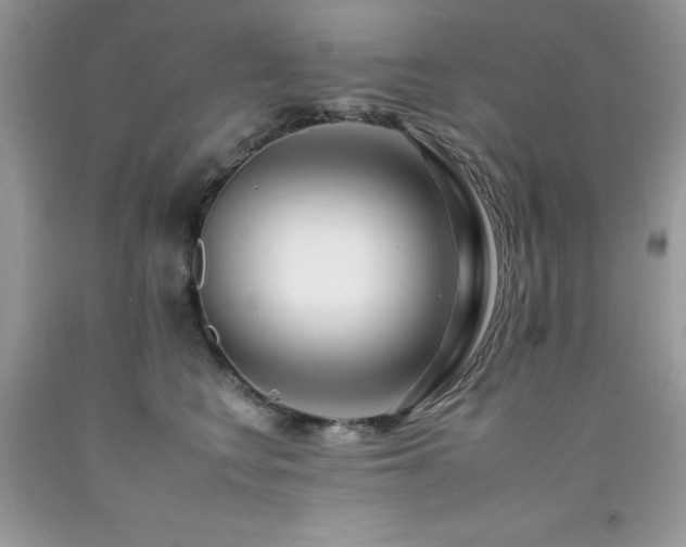 X0000092260566200709141211