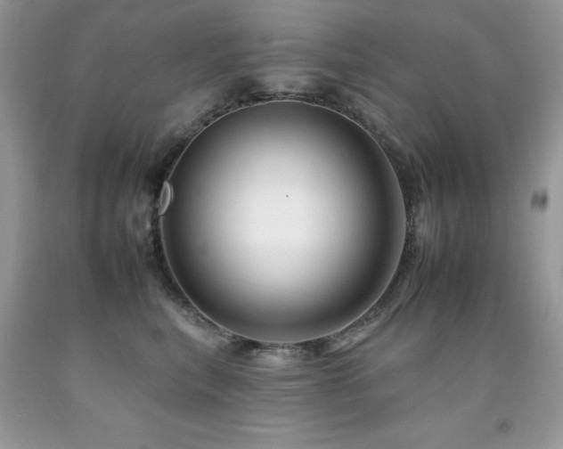 X0000092260567200709141211