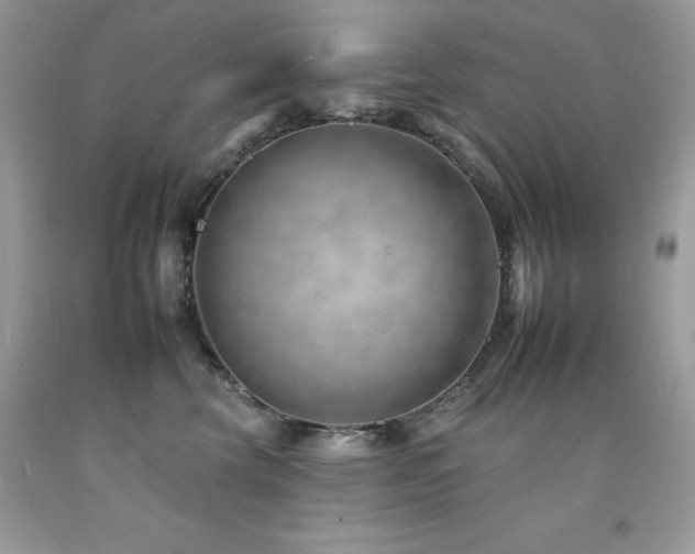 X0000092260569200709141211