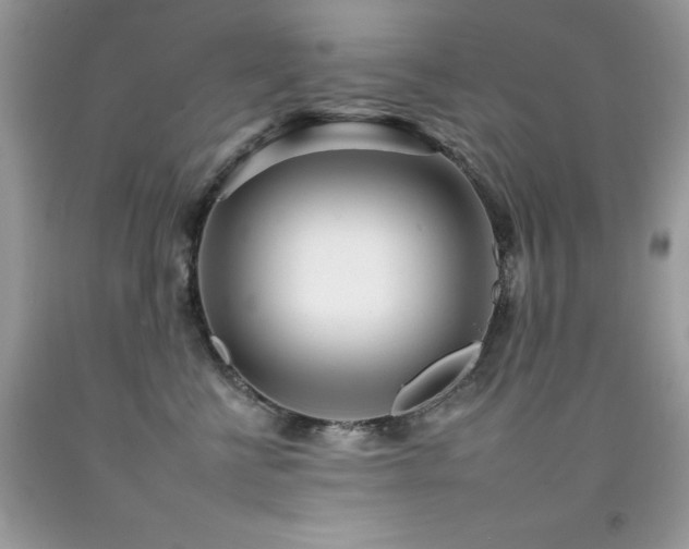 X0000092260570200709141211