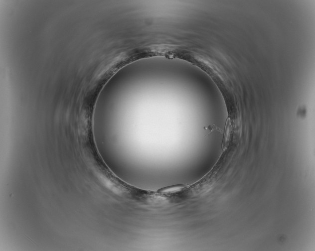X0000092260572200709141211