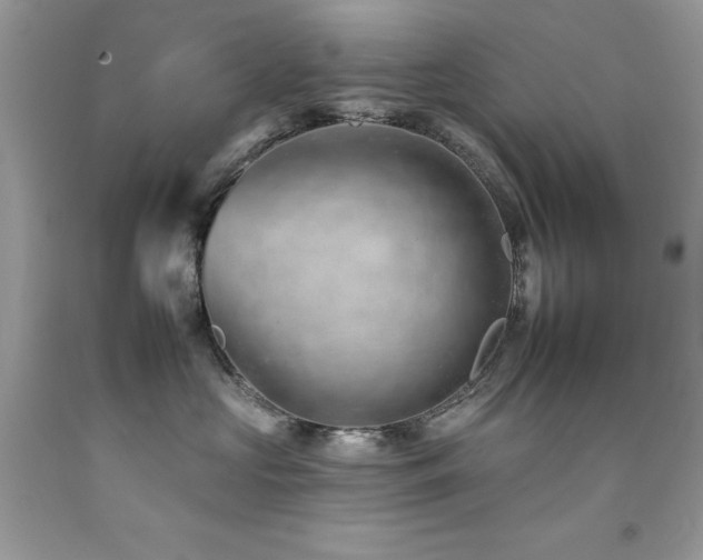 X0000092260573200709141211