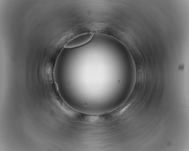 X0000092260575200709141211