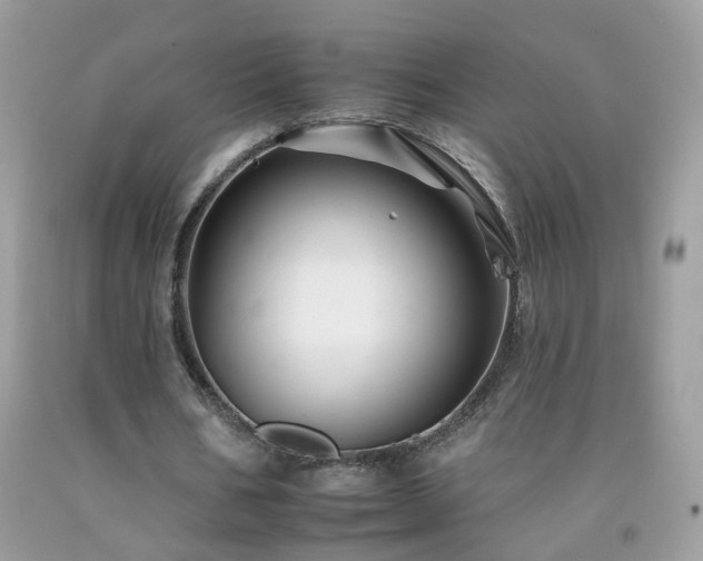 X0000092260578200709141211