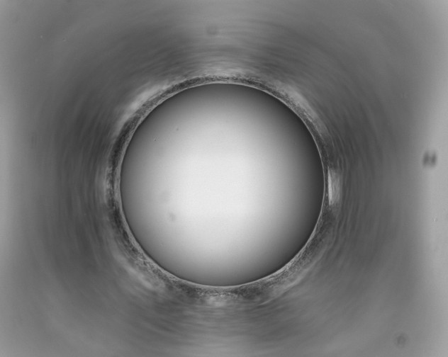 X0000092260579200709141211