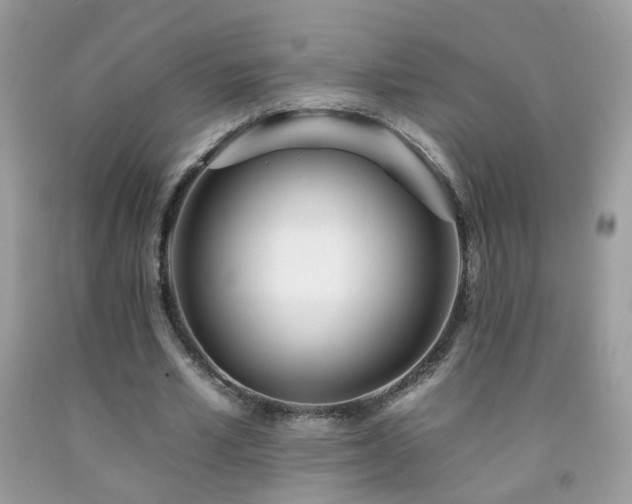 X0000092260581200709141211
