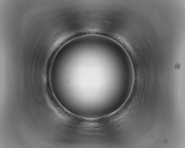 X0000092260582200709141211