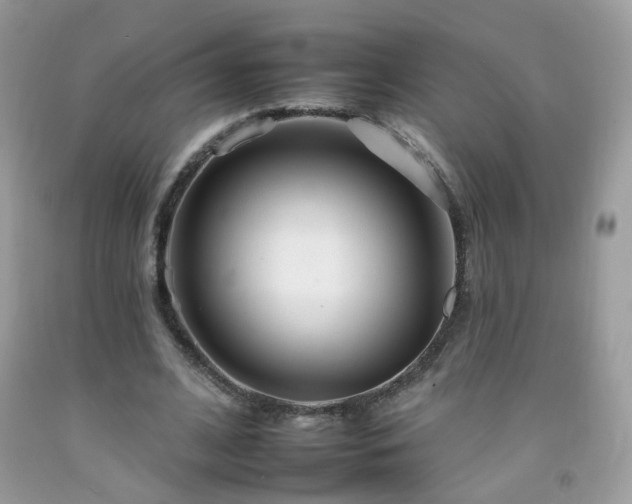 X0000092260584200709141211