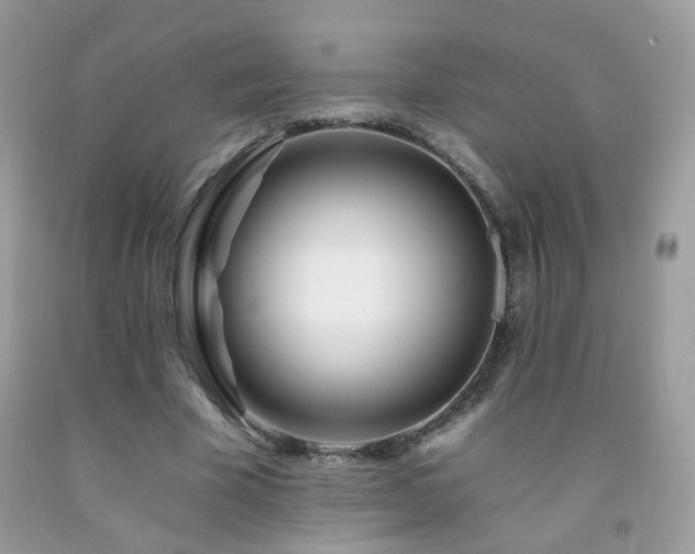 X0000092260585200709141211