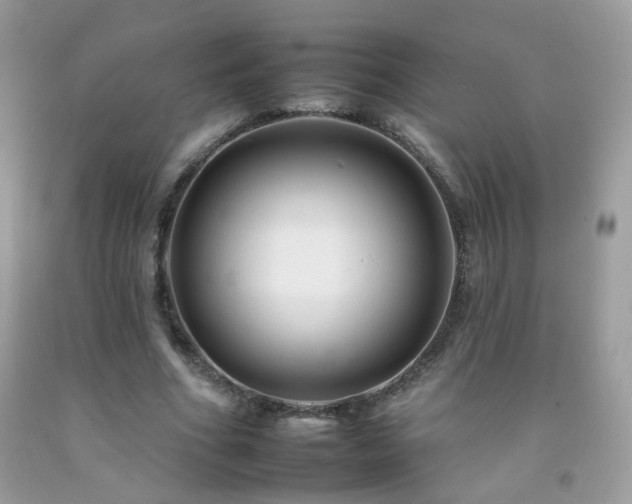 X0000092260586200709141211