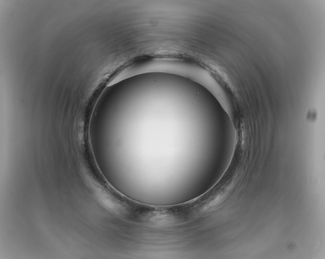 X0000092260589200709141211