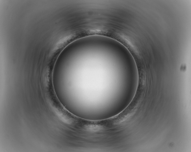 X0000092260590200709141211