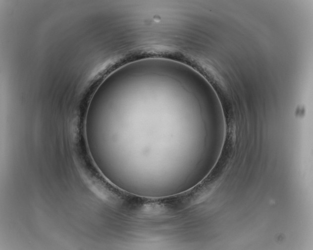 X0000092260591200709141211