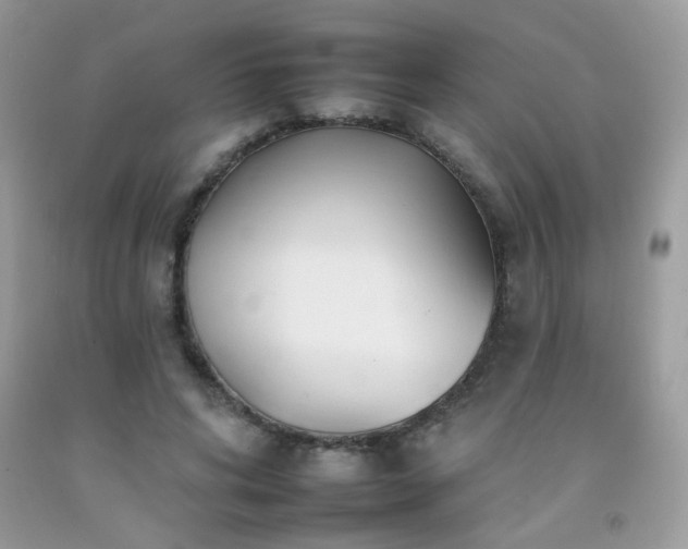 X0000092260592200709141211