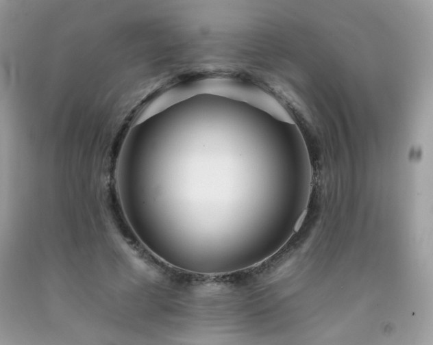 X0000092260593200709141211