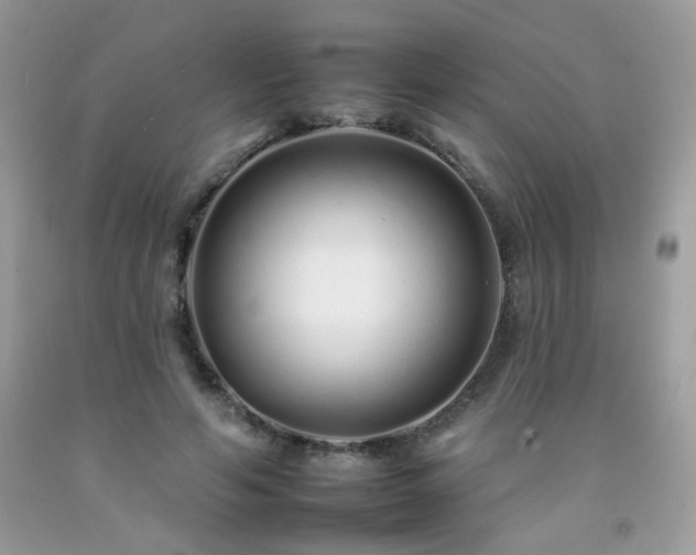 X0000092260594200709141211