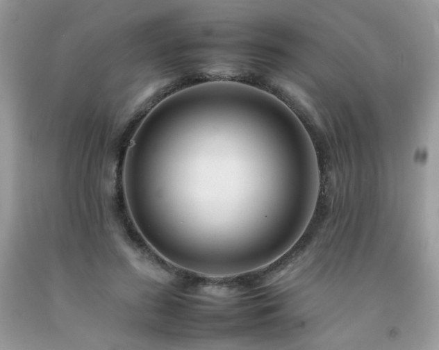 X0000092260596200709141211
