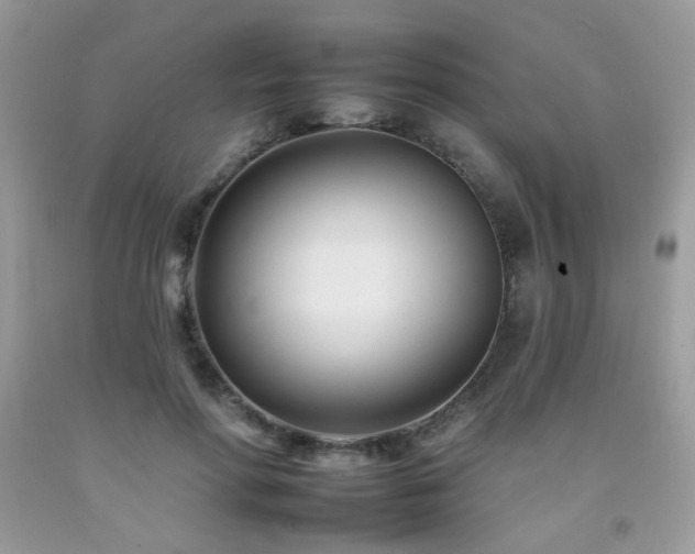 X0000092260598200709141211