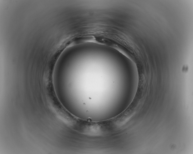 X0000092260600200709141211