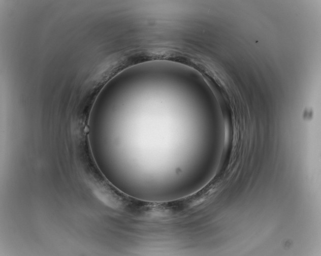 X0000092260601200709141210