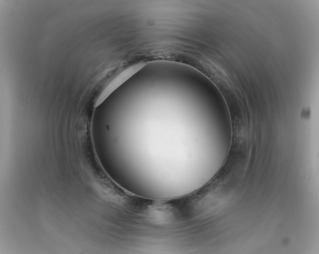 X0000092260603200709141210