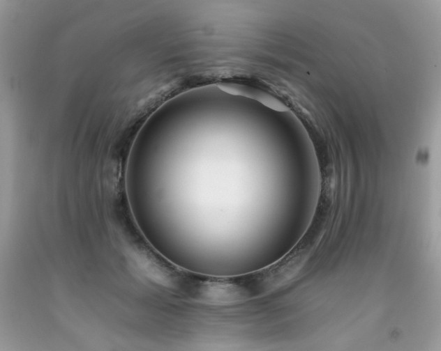 X0000092260605200709141210