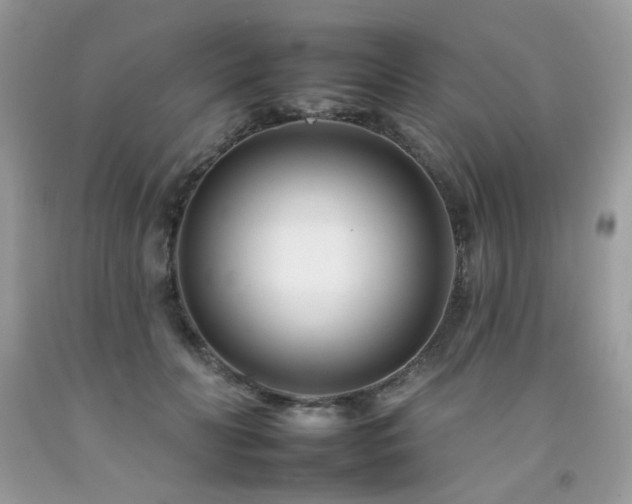 X0000092260606200709141210