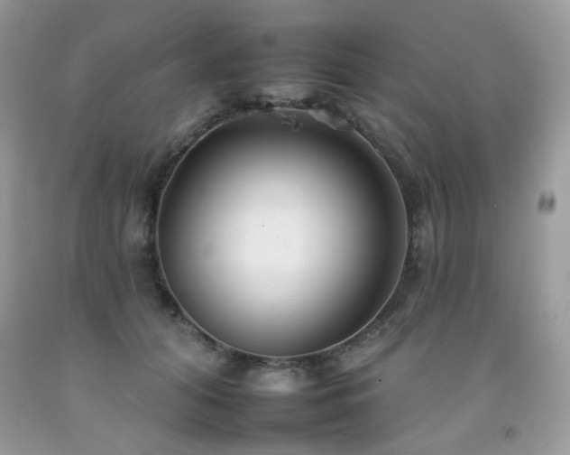 X0000092260608200709141210