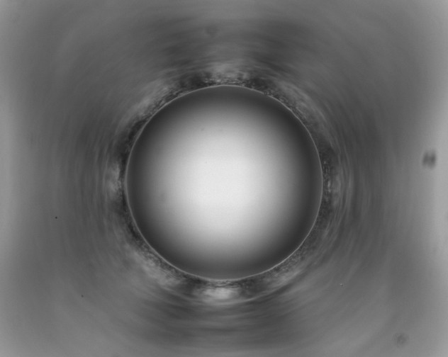 X0000092260610200709141210