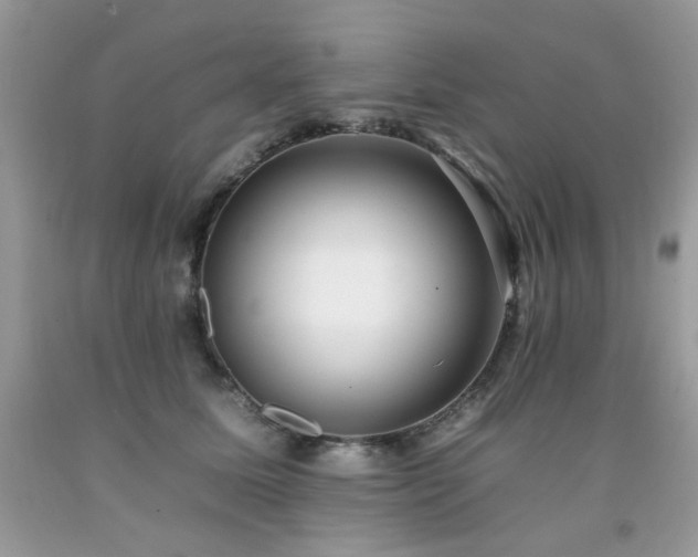 X0000092260611200709141210