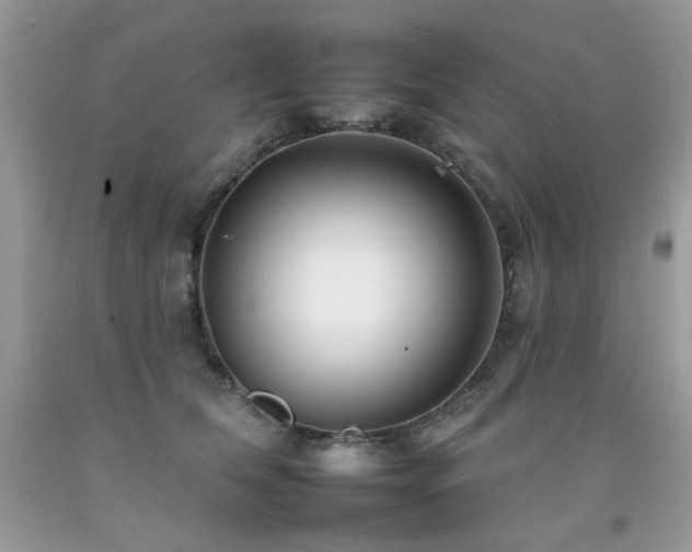 X0000092260612200709141210