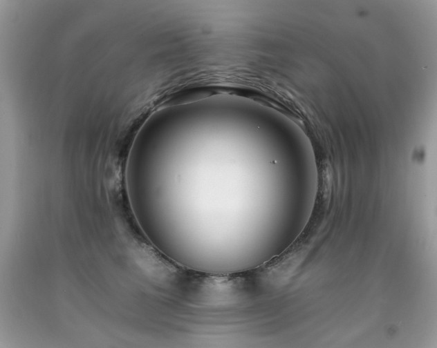 X0000092260613200709141210