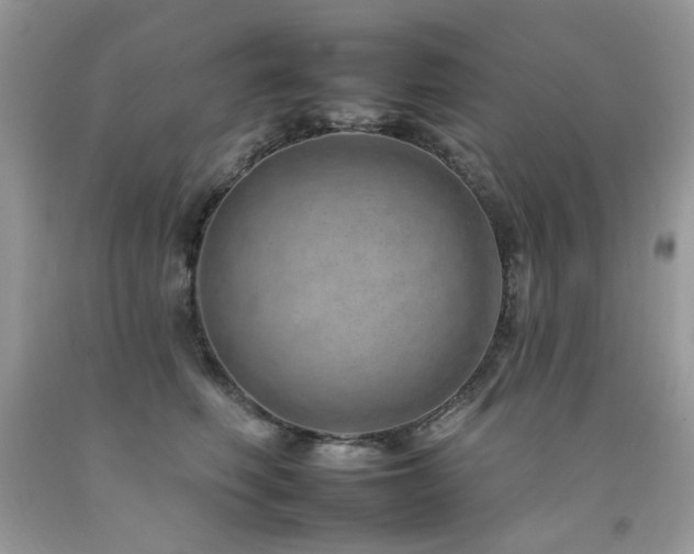 X0000092260614200709141210