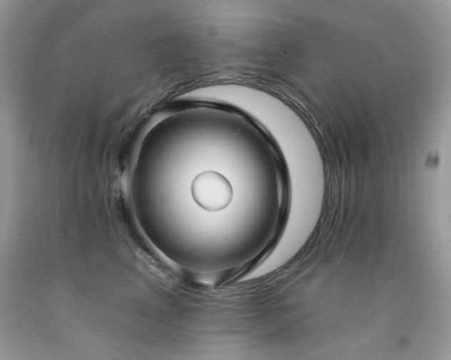 X0000092260617200709141210