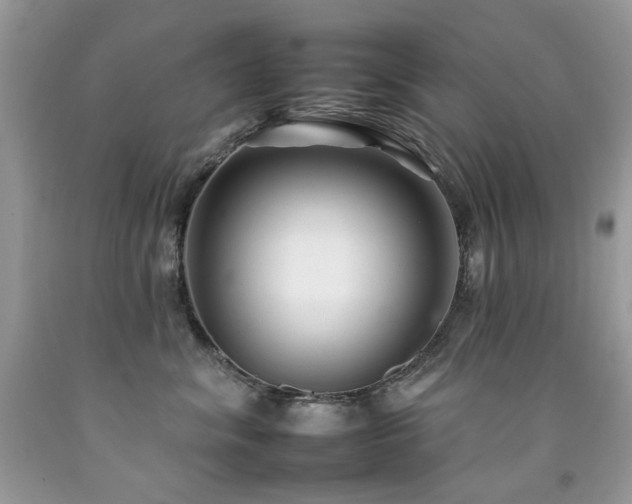 X0000092260620200709141210
