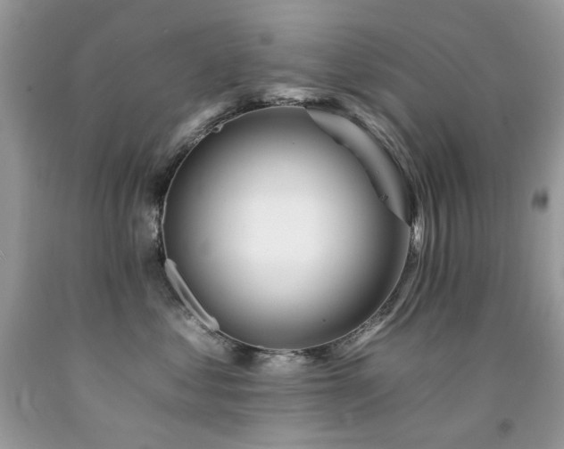 X0000092260621200709141210