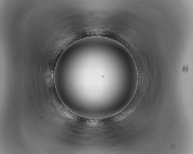 X0000092260624200709141210