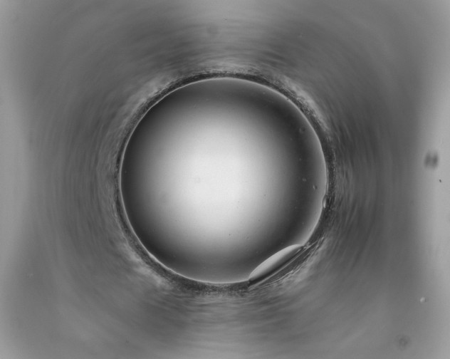 X0000092260625200709141210