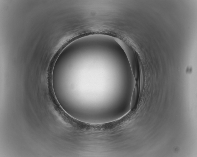 X0000092260626200709141210