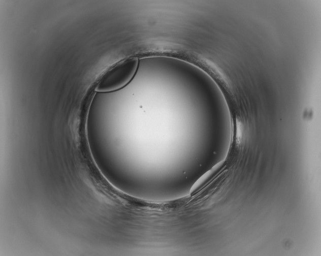 X0000092260627200709141210