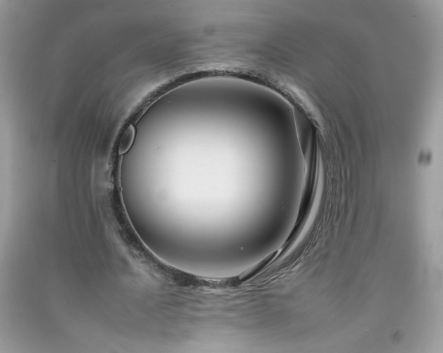X0000092260628200709141210